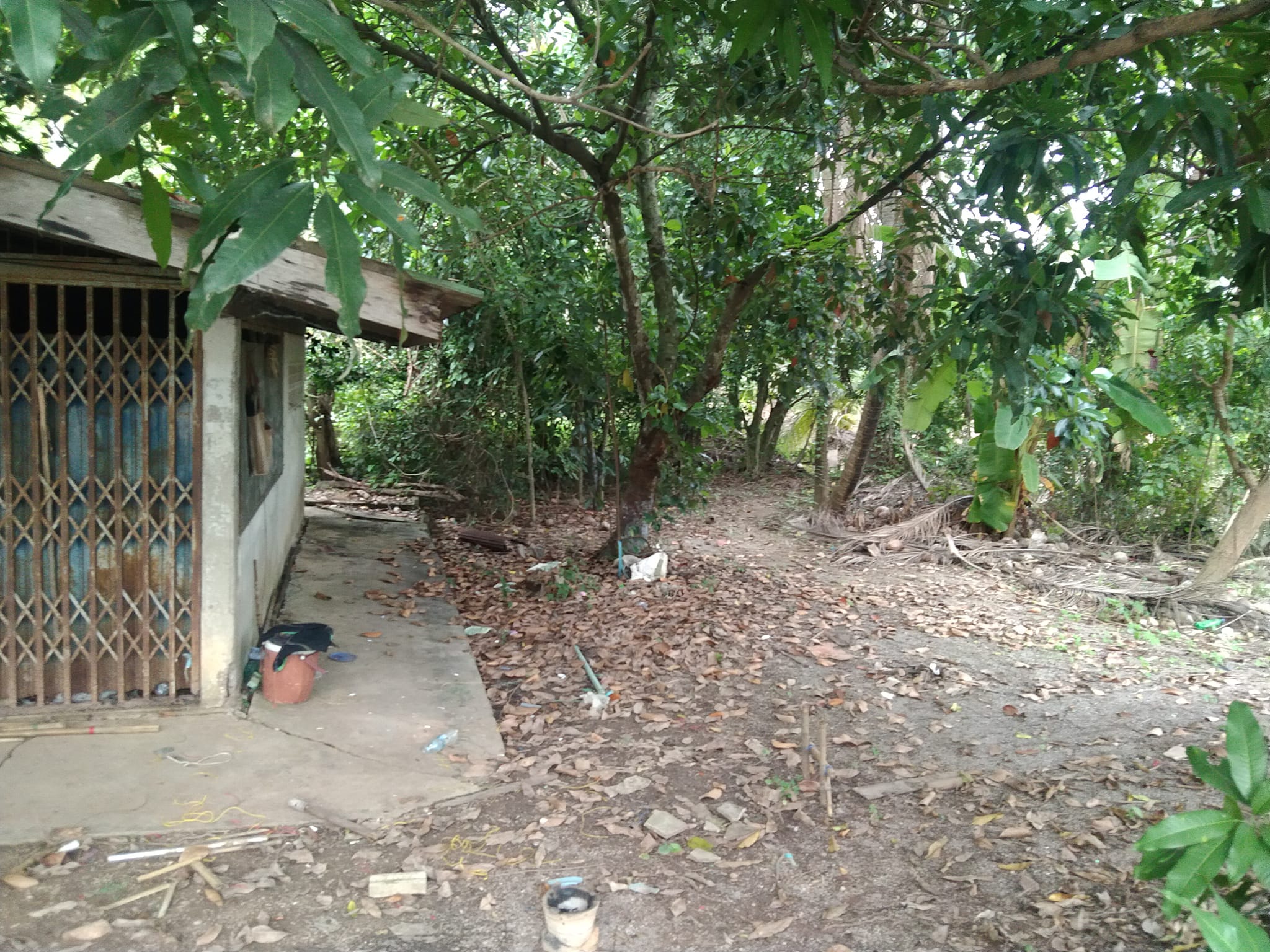 ขายที่ดินราชบุรี เมืองราชบุรี 0-1-25