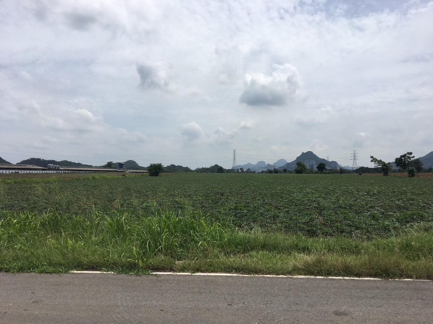 ที่ดินเปล่า ติดถนนสาธารณะ อ.เฉลิมพระเกียรติ จ.สระบุรี 23-3-7 ไร่