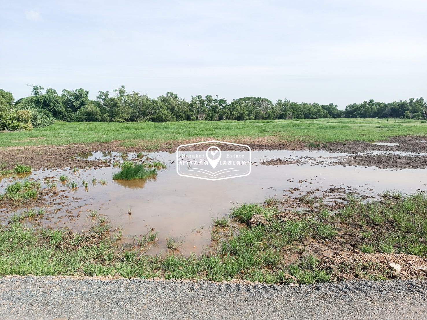 ลดสุดๆ ที่ดิน ประชาร่วมใจ 13 (ตาหวาน) แขวงทรายกองดินใต้ เขตคลองสามวา 