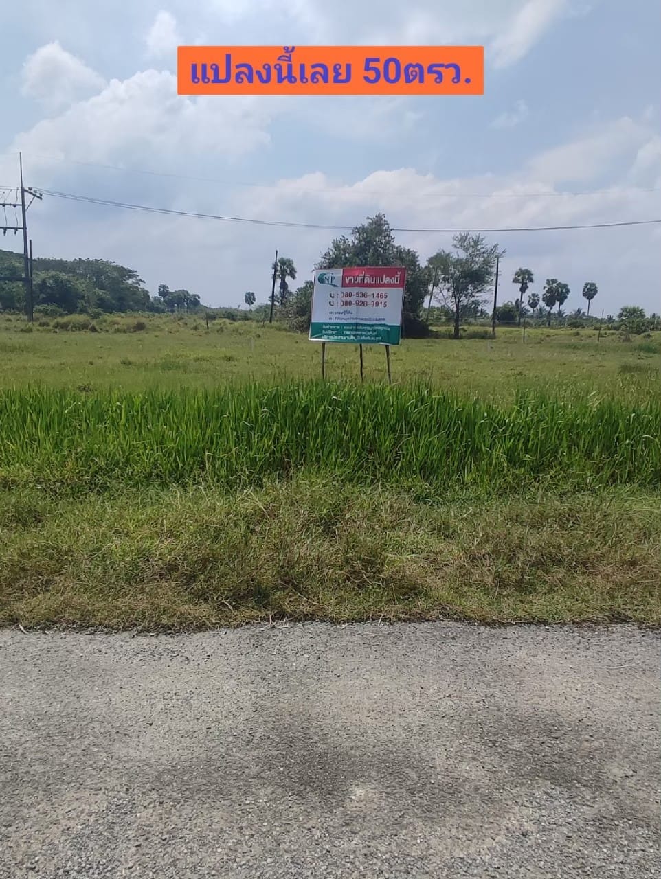 ที่ดินเปล่าปากนคร เมืองนครศรีฯ