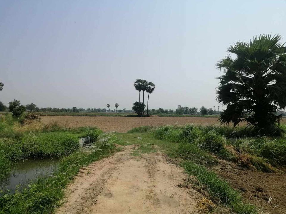 ขายที่ดินชัยภูมิ ใกล้ชุมชน เป็นที่นา เหมาะลงทุนเกษตร บำเหน็จณรงค์ ชัยภูมิ