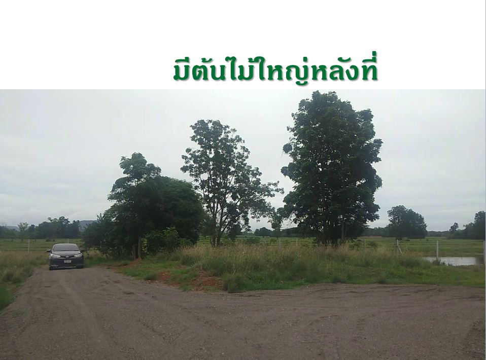 ขายที่ดิน อ.จอมบึง จ.ราชบุรี เนื้อที่ 1 ไร่ ราคา 579,000 บ. น้ำไฟพร้อม โฉนดครุฑแดง