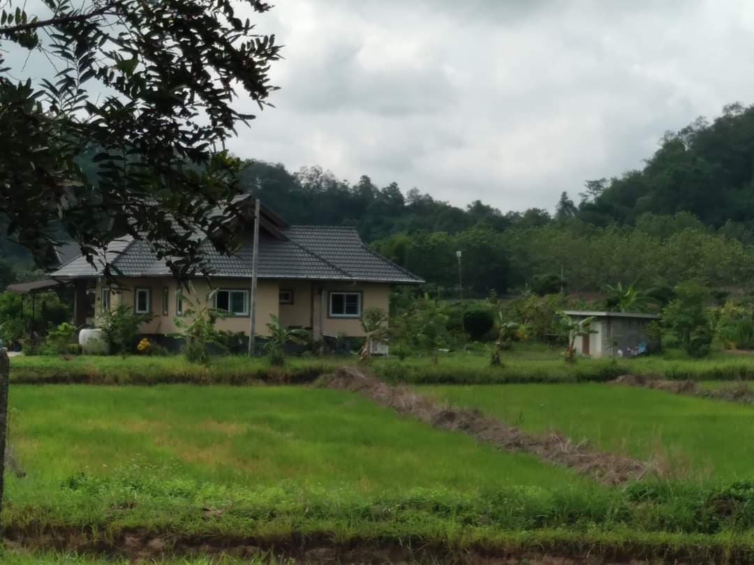 บ้านพร้อมที่นา ใกล้ธรรมชาติ