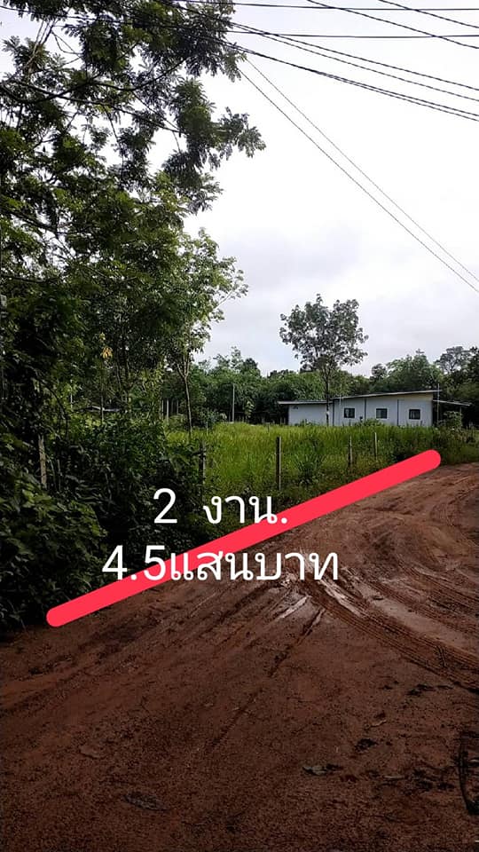 ที่ดิน ด้านหน้ามีคลองส่งน้ำ อุบลราชธานี 2 งาน