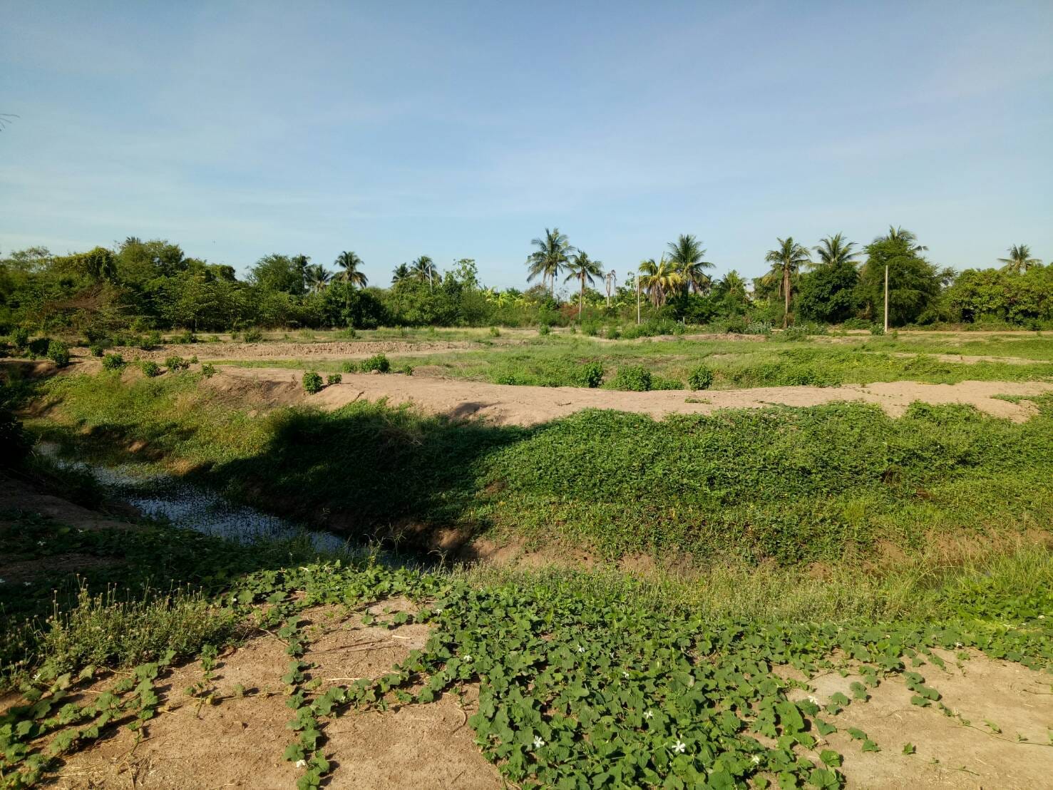 ขายที่ดิน สุพรรณบุรี 3-1-99