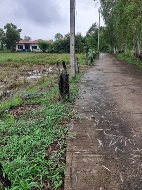 ที่ดินเปล่า กาฬสินธุ์ 3-0-7