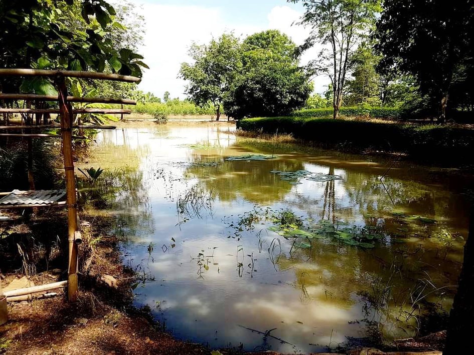 ที่ดิน พร้อมบ้าน 1 หลัง ลพบุรี 24-1-55