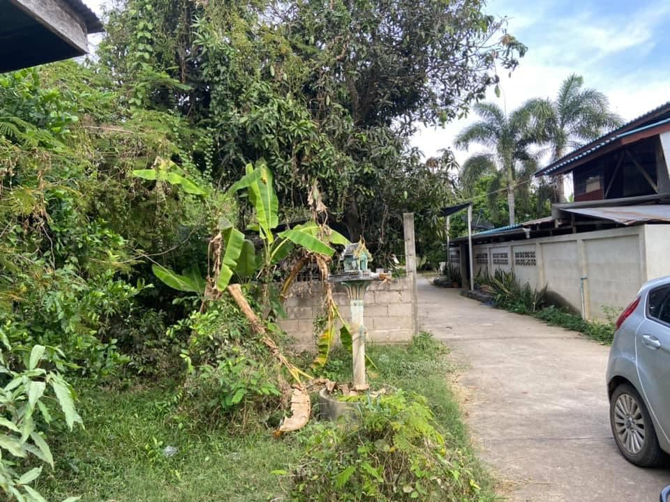 ที่ดินพร้อมสิ่งปลูกสร้าง บ้านลาด เพชรบุรี 0-1-81