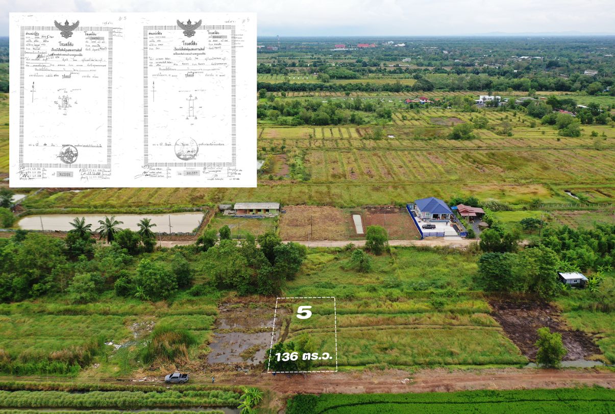 ขายที่ดินปทุมธานี หนองเสือ ที่ดินเปล่า แบ่งขาย คลอง 10 สะพานม่วง