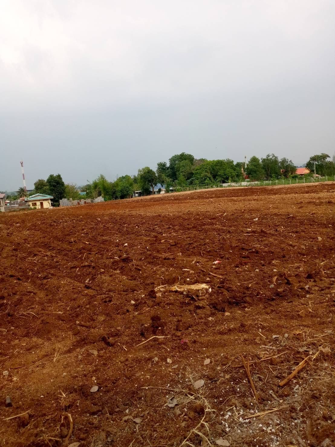 ขายที่ดิน2โฉนด