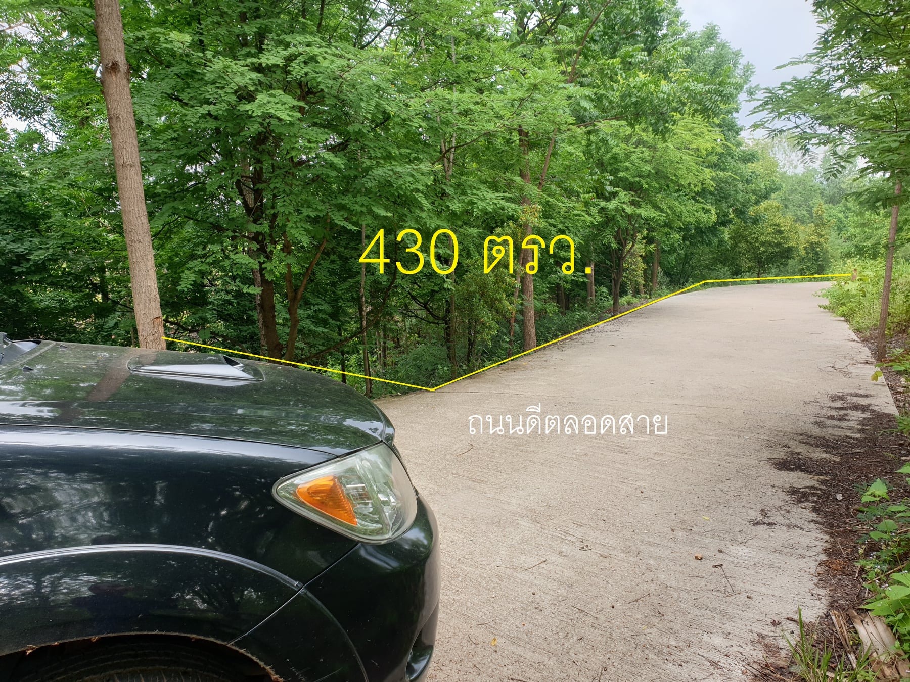 ที่ดินสวนมะขามหวาน เพชรบูรณ์ 1-0-30
