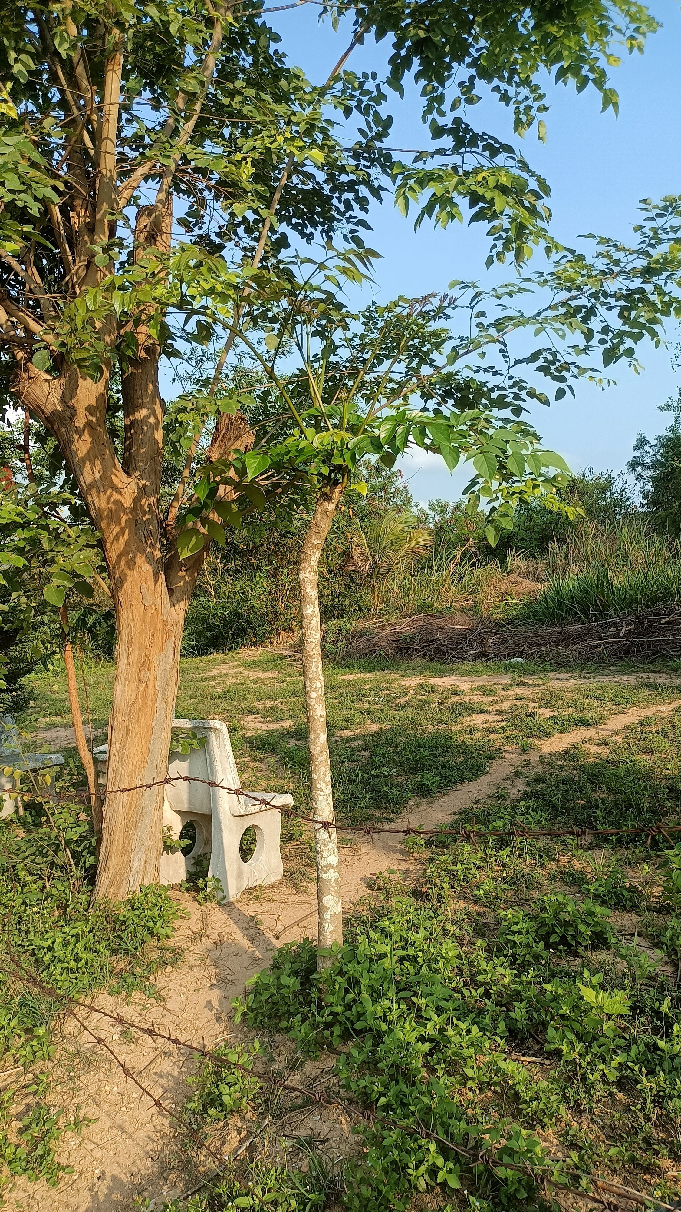 ที่ดินเปล่า(ประทับตราทรงสงวนจาก ทร. แล้ว)