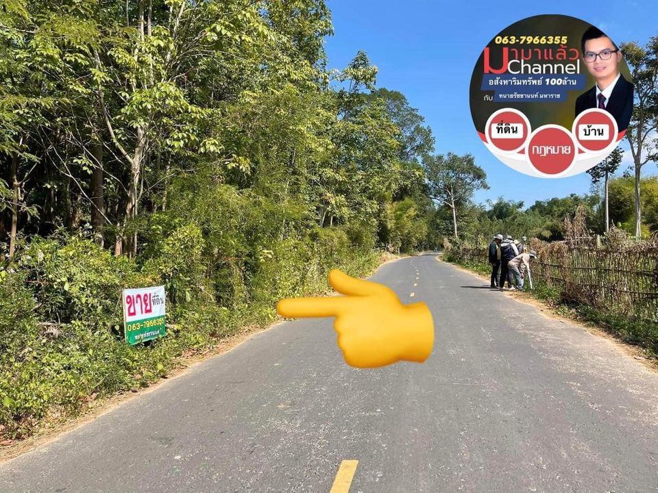 ที่ดิน 182 ตร.วา ติดถนนลาดยาง 182 ตรว. อุบลราชธานี
