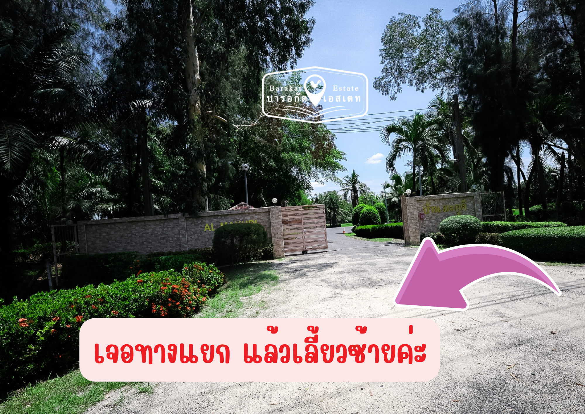 1 ขายด่วน ที่ดินเปล่าเนื้อที่ 100 ตร.ว. การเดินทางสะดวก ติดถนนทั้ง 2 ด้าน