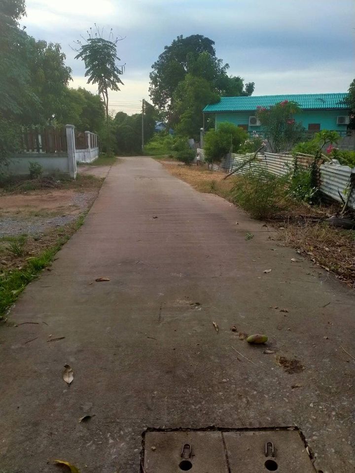 ที่ดินอยู่ ต.พลายชุมพล ใกล้เซ็ลทรัลพิษณุโลก 205.5 ตรว.