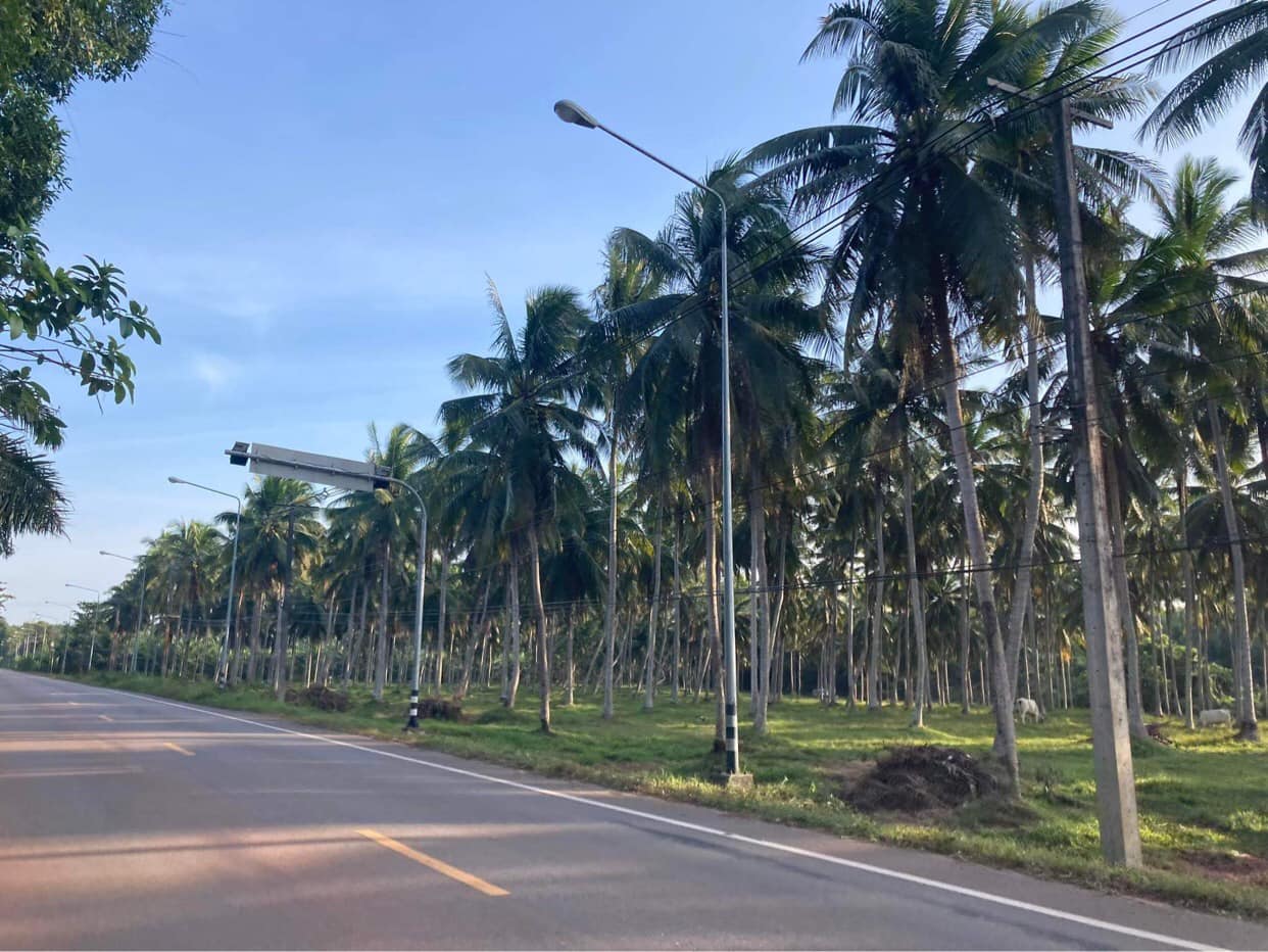 ขายที่ดิน ประจวบคีรีขันธ์ 40-3-52 ไร่