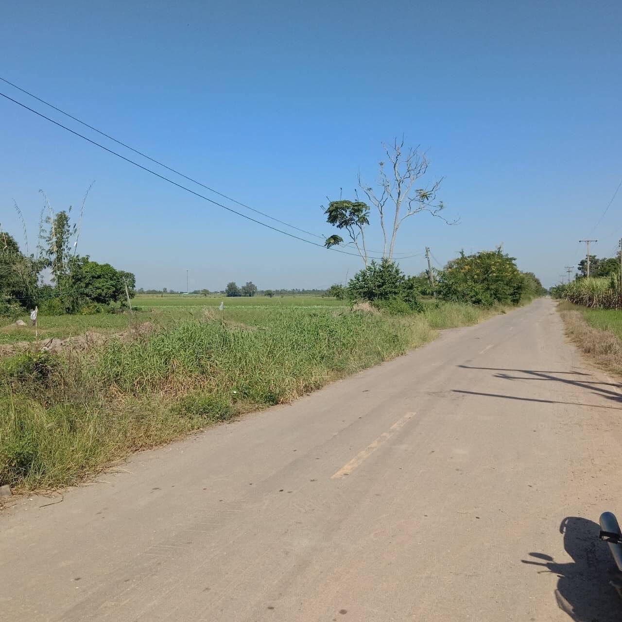 ที่ดิน ตำบล คลองมะพลับ อำเภอ ศรีนคร จังหวัด สุโขทัย  3 ไร่