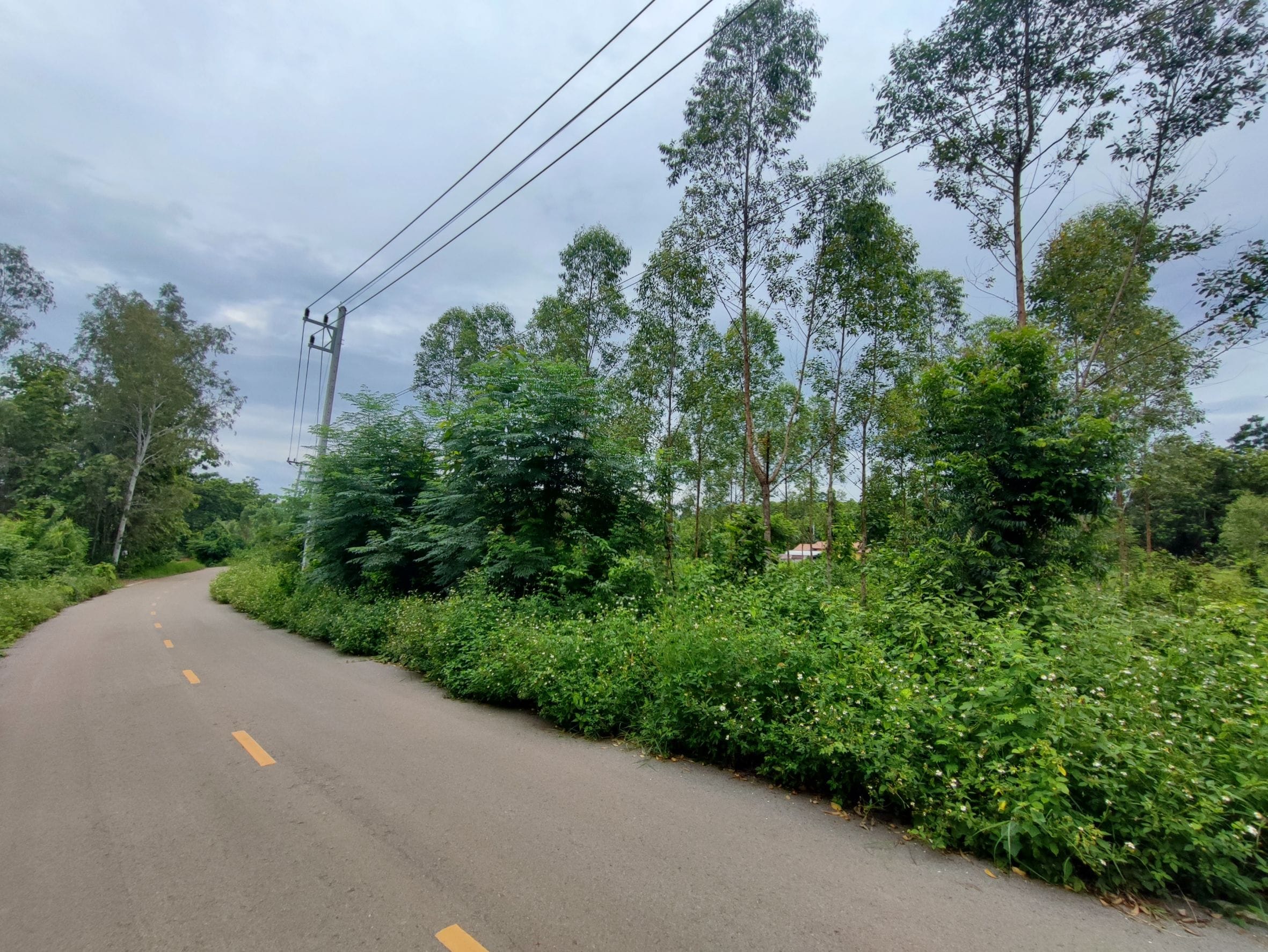 ขายที่ดินสำหรับสร้างบ้าน หลังเทศบาลนาอ้อ