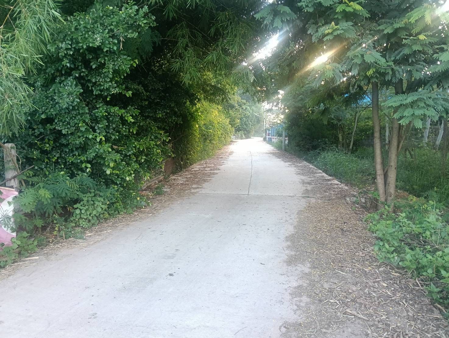 ขายที่ดินขอนแก่น อำเภอเมือง บ้านหนองหลุบ ที่ดินแบ่งขาย