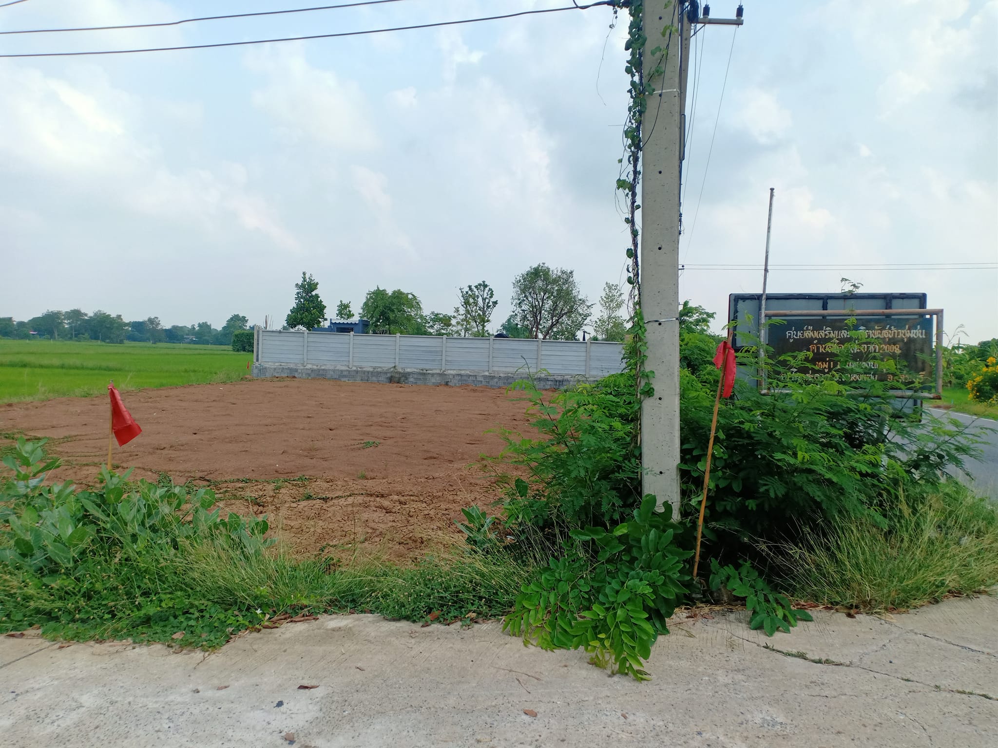 ขายที่ดินสระบุรี หนองแซง 0-1-59.2