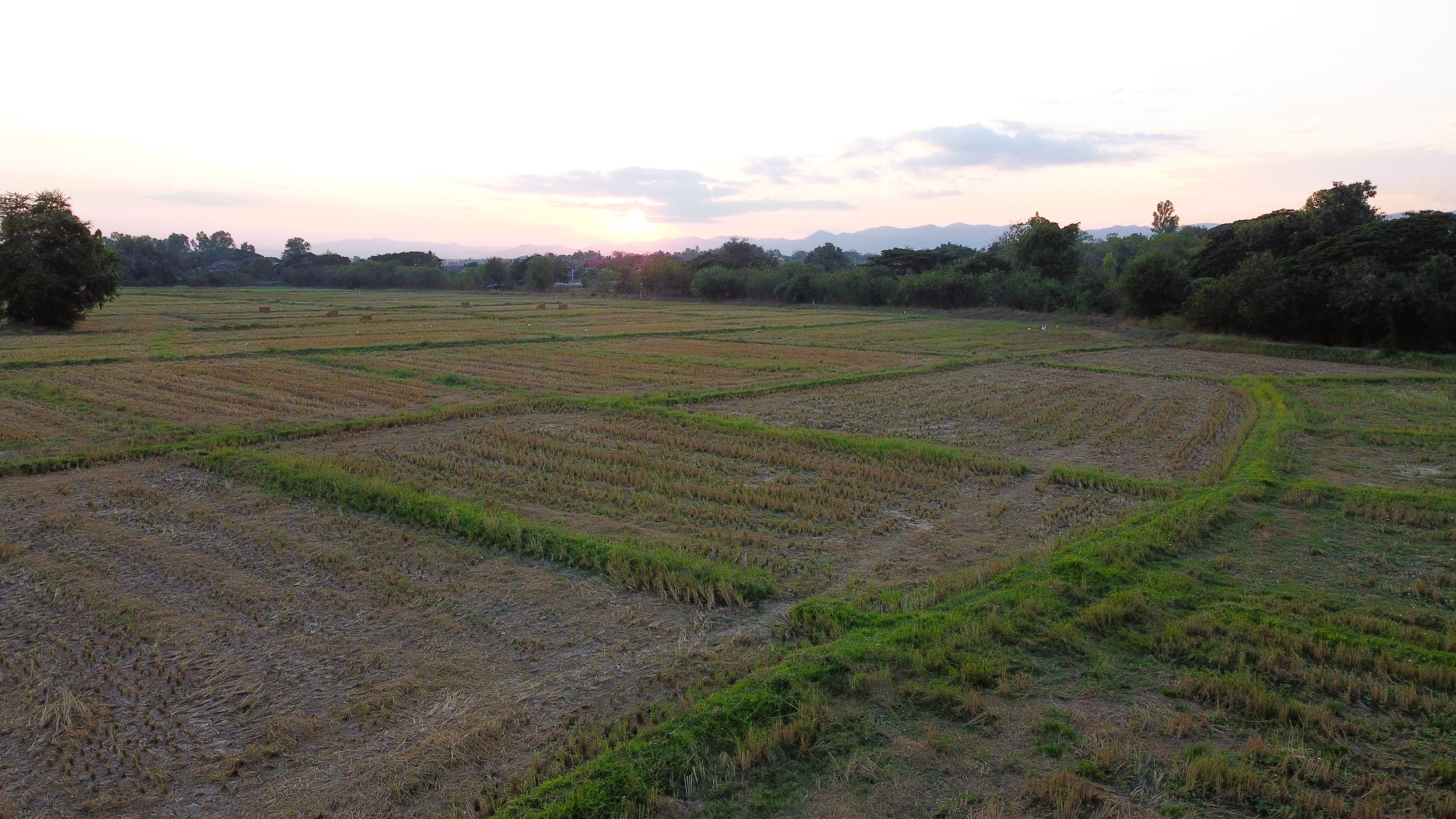 ที่ดิน ทำเลดี ใกล้ชุมชน วิวเข้า ทุ่งนา เหมาะทำบ้านสวน บ้านพักตากอากาศ  อ.เถิน จ.ลำปาง