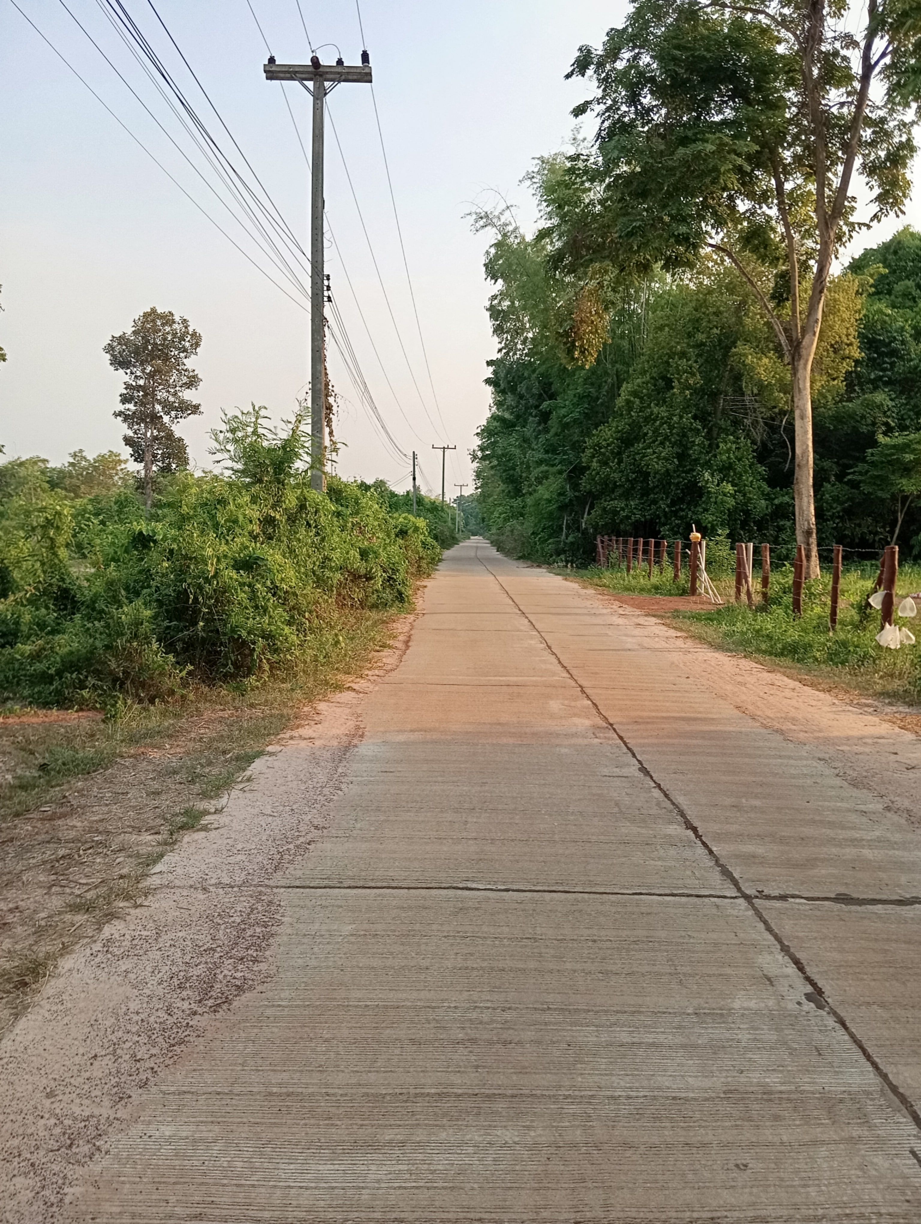 ขายที่ดิน