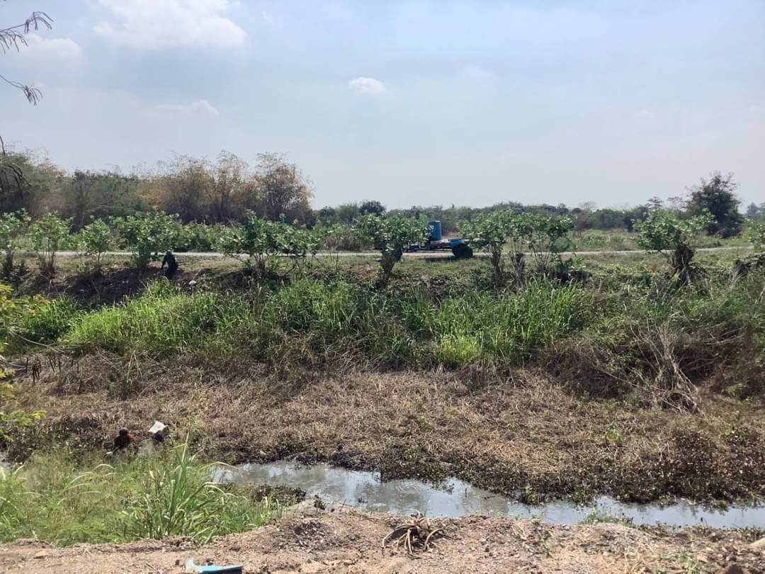 ขายที่ดินทำกิน น้ำไฟมีพร้อม ฟรีโอน