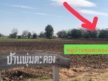 ที่ดินตาคลี 12-2-93