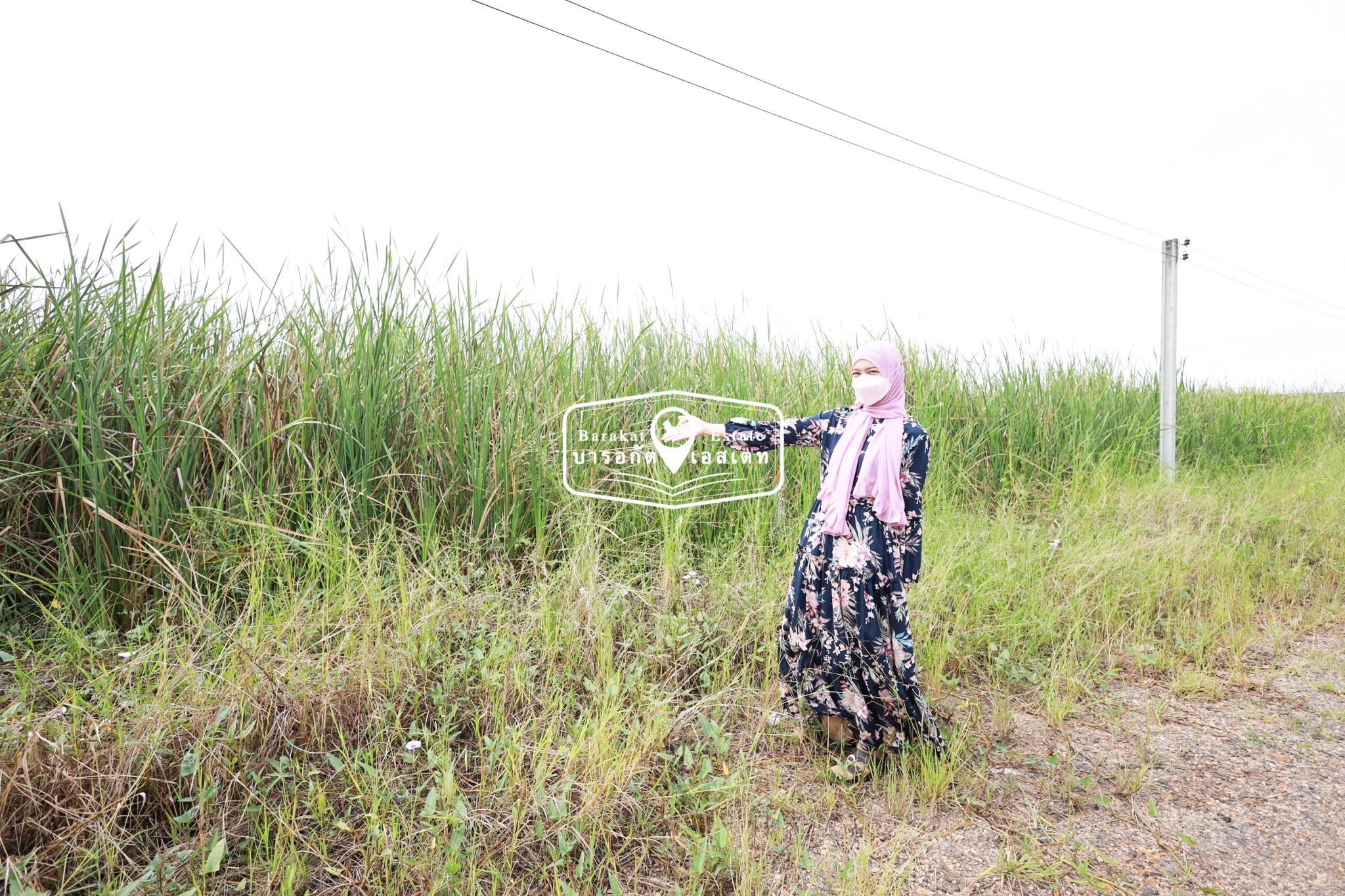 ใครที่กำลังมองหาแปลงสวย ขนาดกำลังดี 100 ตร.ว. ที่สวยติดถนนซอย น้ำ ไฟ พร้อม การเดินทางสะดวก