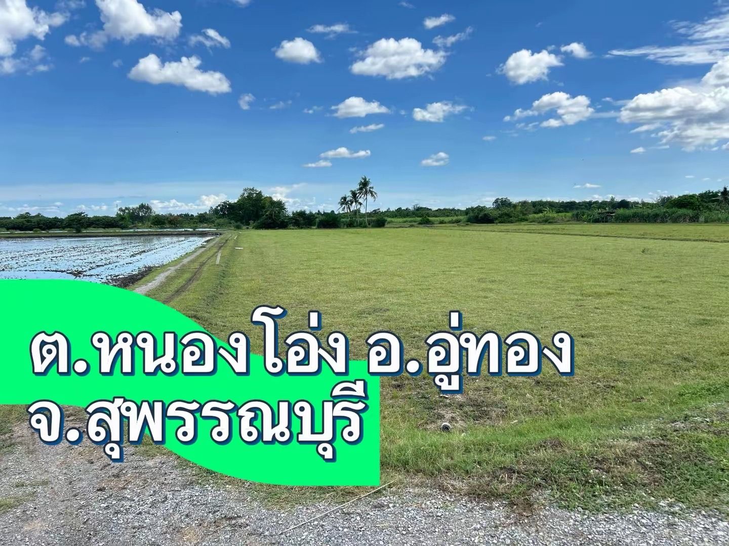 ขายที่ดินสุพรรณบุรี อู่ทอง