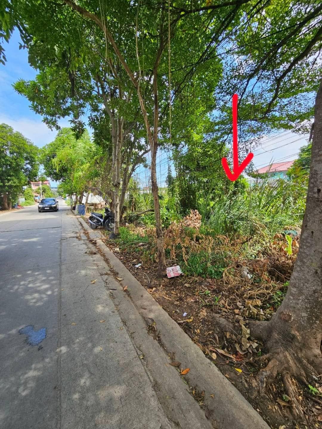 ขายที่ดินกรุงเทพ เขตบางขุนเทียน ที่ดินเปล่า 128 ตร.วา ทำเลศักยภาพ ใจกลางซอยเทียนทะเล 20 แยก 8
