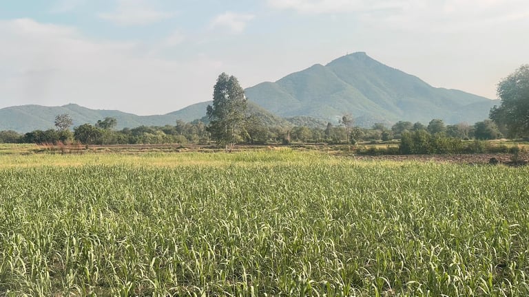 ที่ดินเปล โคกสำโรง ลพบุรี 15-0-0
