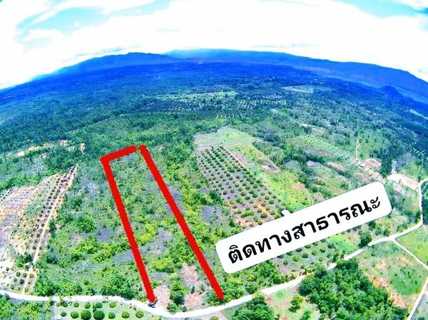 ทีดิน  เหมาะสร้างรีสอร์ท บ้านพักตากอากาศ ทำการเกษตร เชียงใหม่ 5-2-83