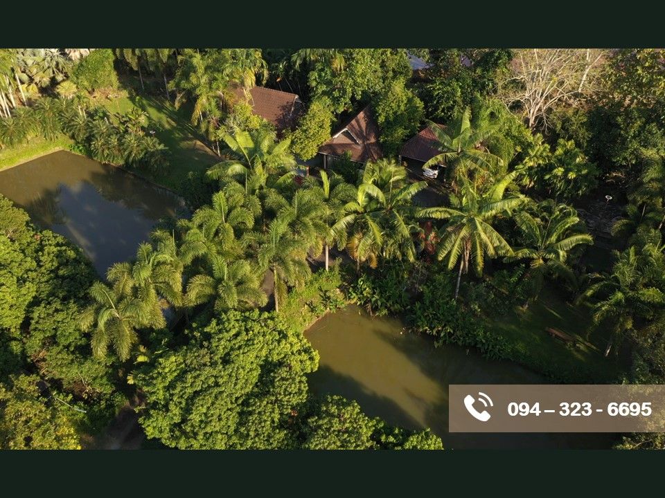 บ้านสวนพร้อมที่ดิน 11 ไร่ ในเชียงราย ปี 67  น้ำไม่ท่วม