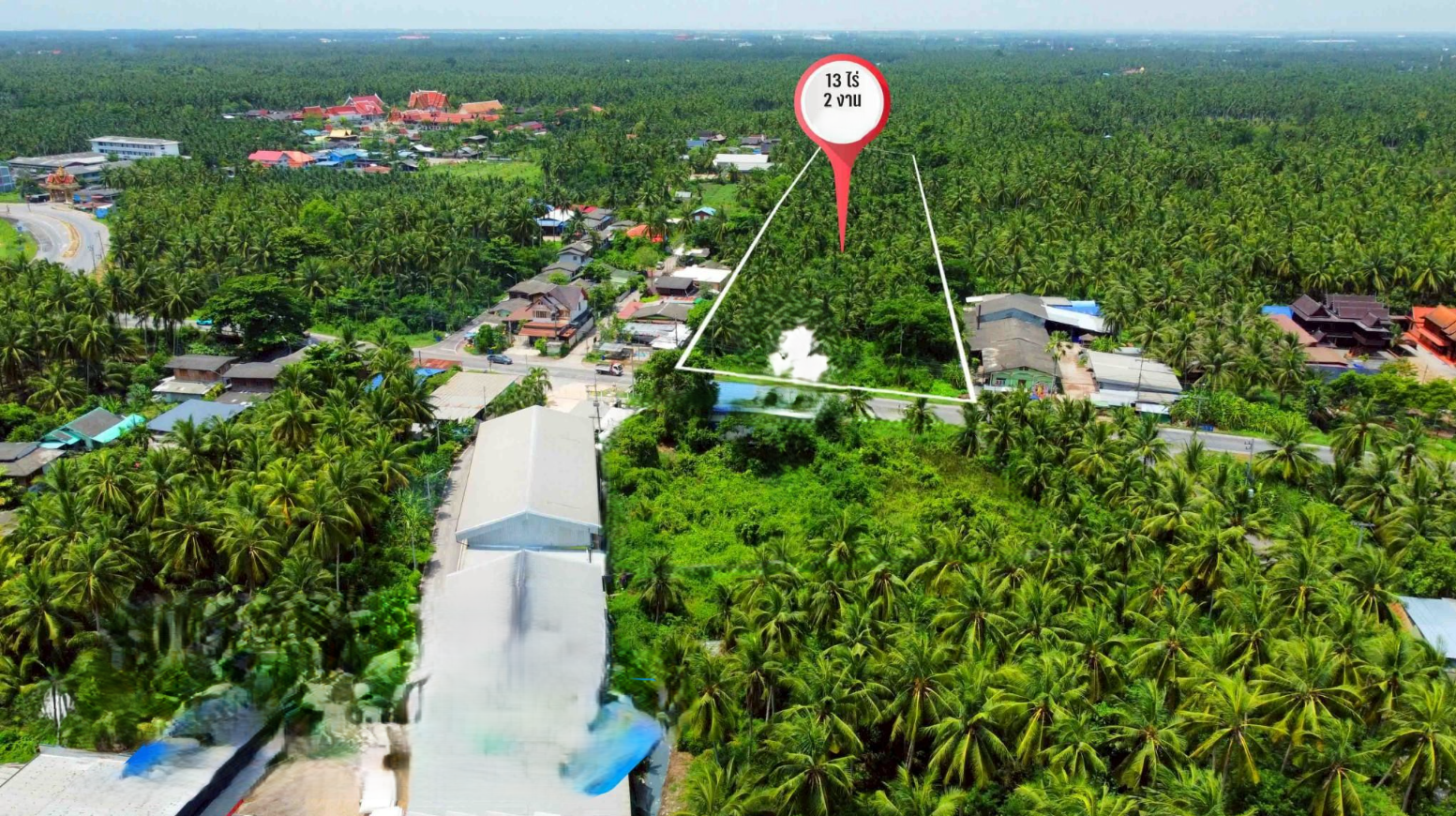 ที่ดินสวนมะพร้าวติดถนนปากท่อสายเก่า