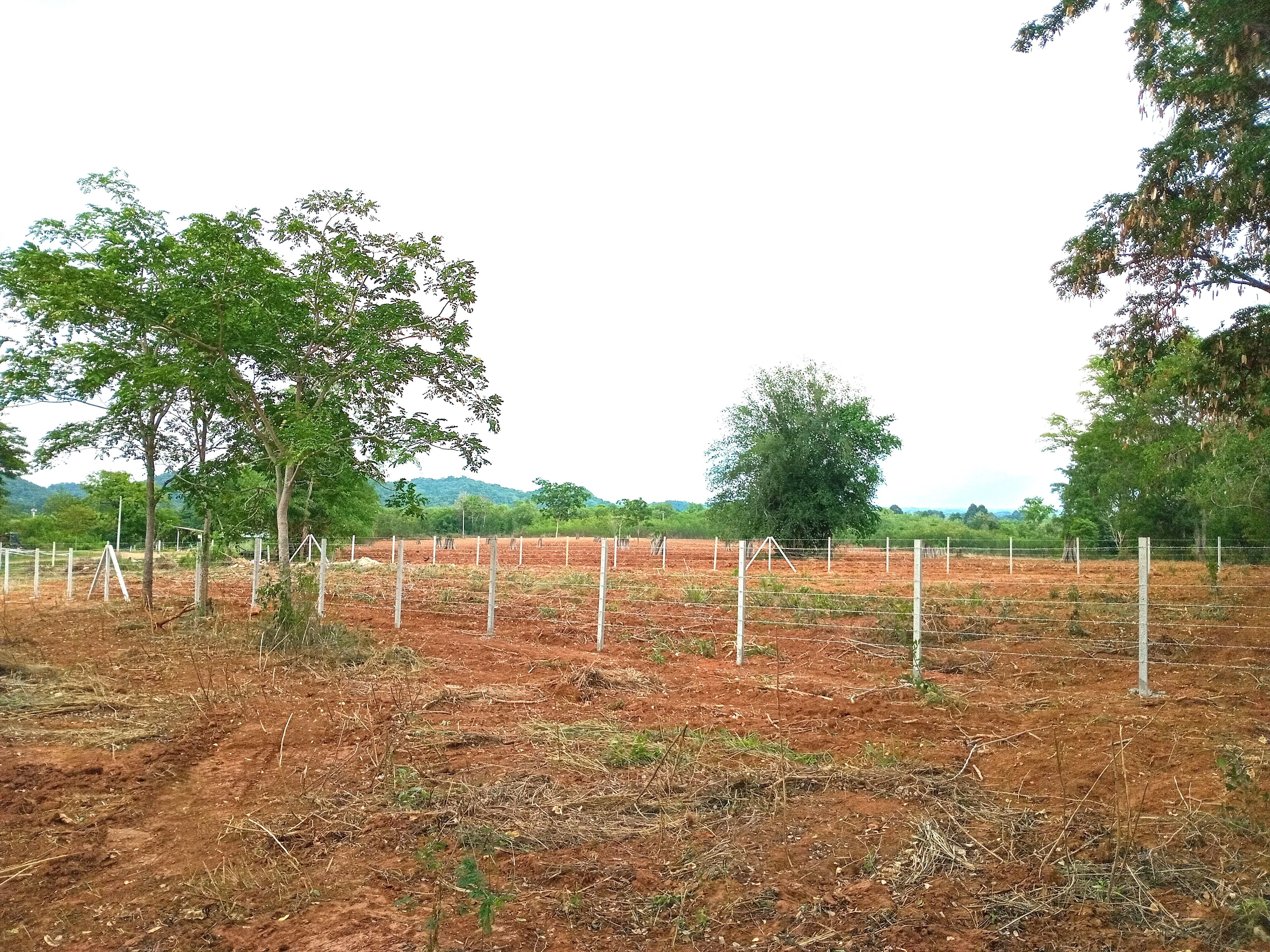 1-3-36 ไร่ โฉนดครุฑแดง ที่ดิน มวกเหล็ก สระบุรี