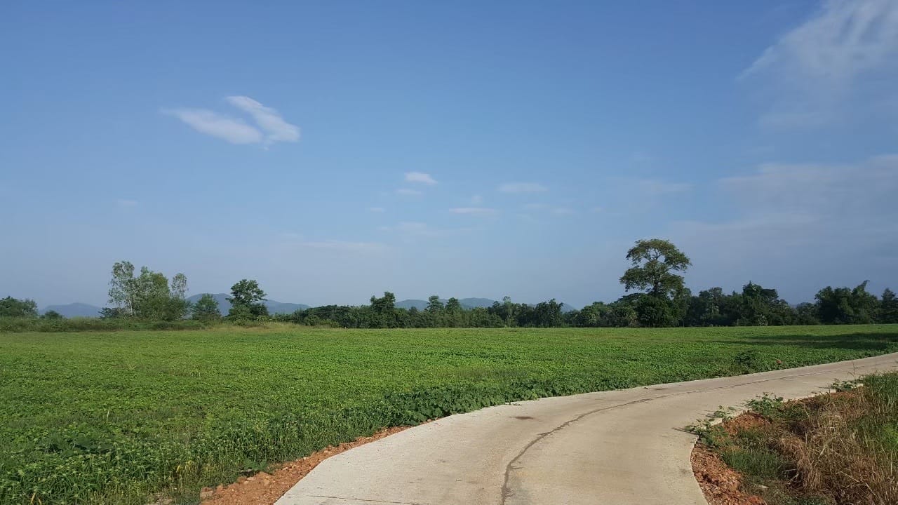 ที่ดินสวยบรรยากาศดี