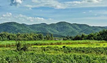 ที่ิดินวิวทิวเขา ด่านช้าง สุพรรณบุรี 6-3-0