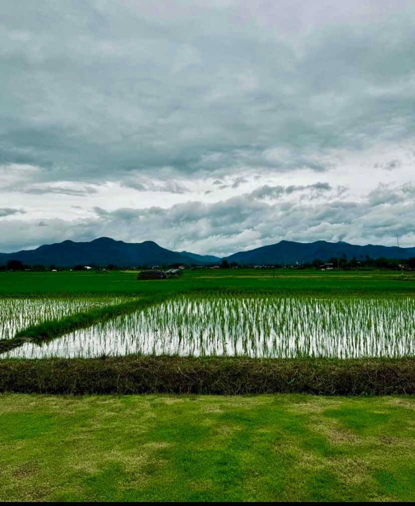 ขายที่ดินเชียงใหม่ อำเภอแม่วาง ที่ดินแปลงสวย ทำเลงาม เดินทางสะดวก เหมาะลงทุน เจ้าของขายเอง 21-1-30 ไร่.