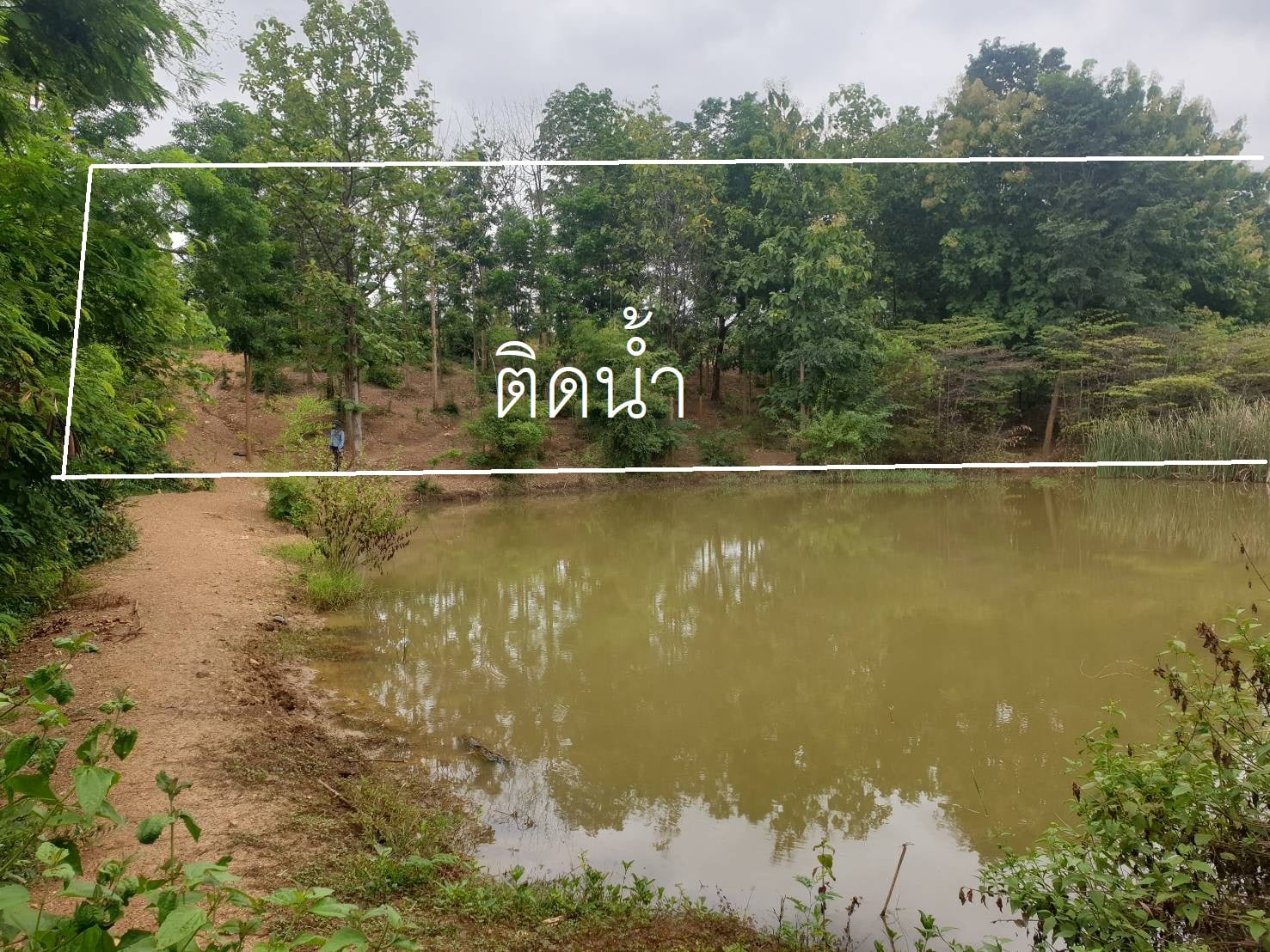 ที่ดิน เพชรบูรณ์ 9-3-24