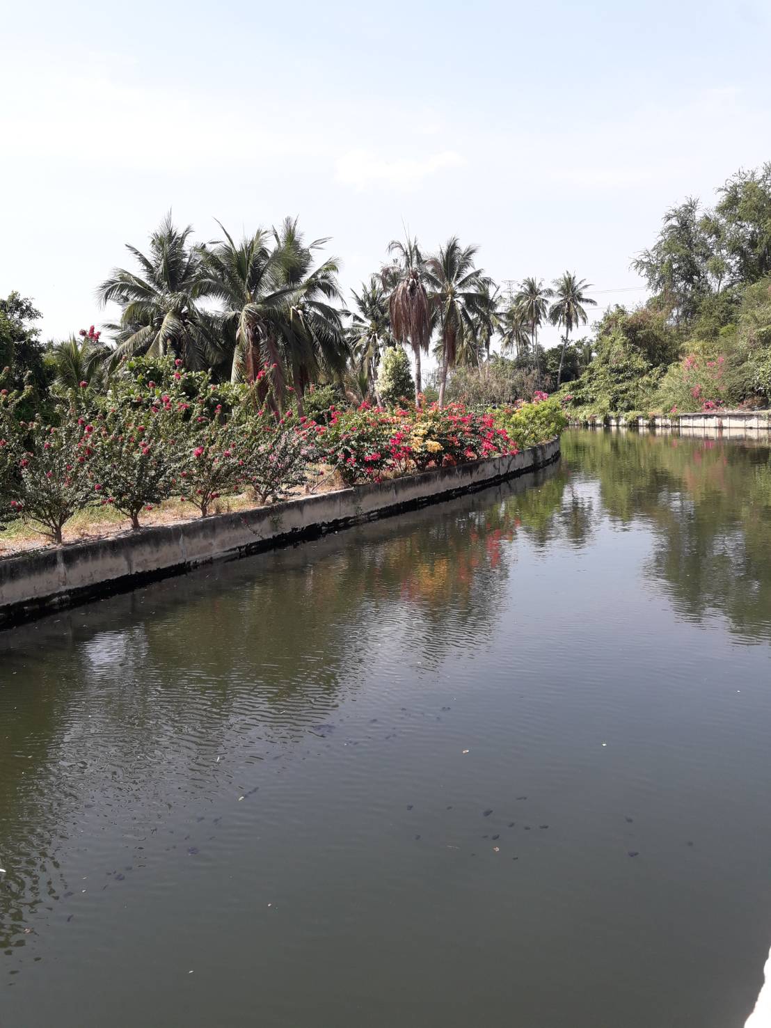 ที่ดินติดคลอง มีสวนสวยงาม สามพราน นครปฐม 17-1-28