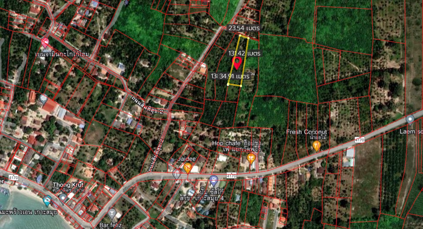 ขายที่ดินสุราษฎร์ฯ เกาะสมุย 3-0-99.6