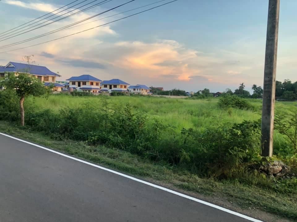 ขายที่ดินเปล่า วิเชียรบุรี