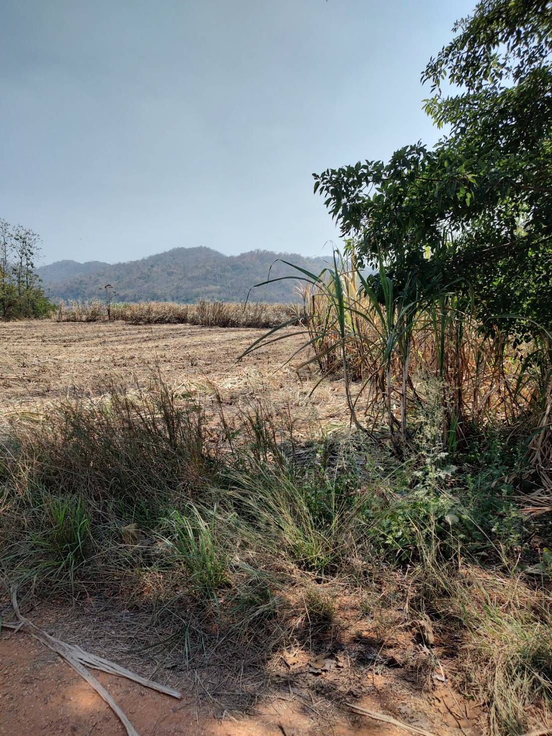 ขายที่ดินอุทัยธานี แปลงสวย เหมาะปลูกบ้าน บ้านไร่ อุทัยธานี