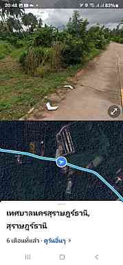 ขายที่ดิน สุราษฎร์ธานี 5-0-48.5 ไร่