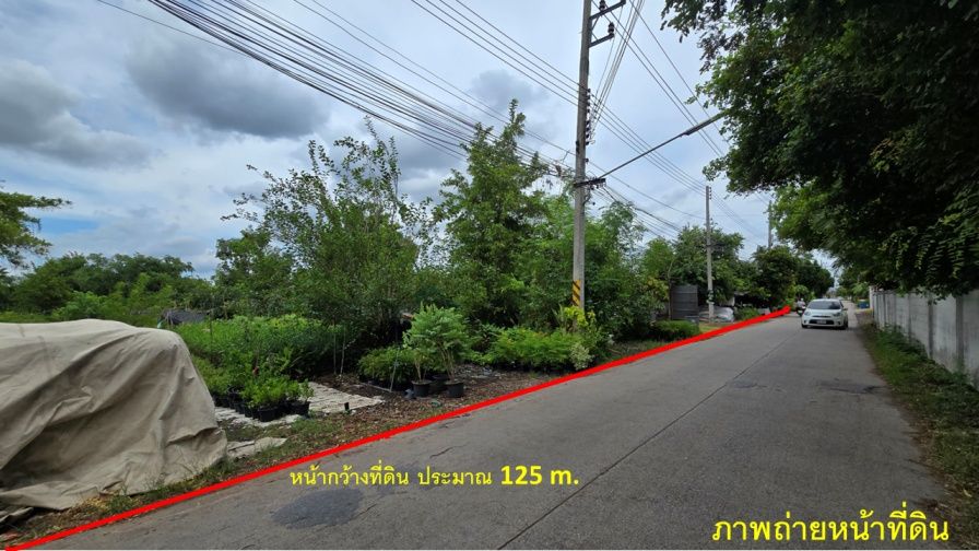 ขายที่ดิน 10.5 ไร่ ซอยโต้ล้ง ถ.เศรษฐกิจ1 ใกล้โลตัสกระทุ่มแบน รูปแปลงสี่เหลี่ยมสวย เหมาะทำโครงการจัดสรร