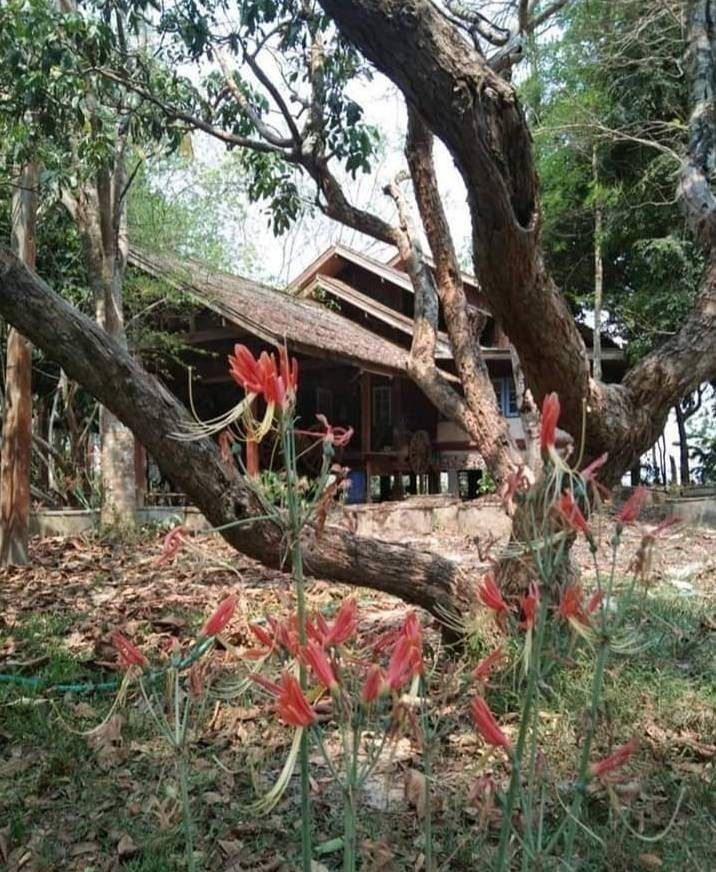 ขายที่ดิน เชียงใหม่ 15-2-95 ไร่