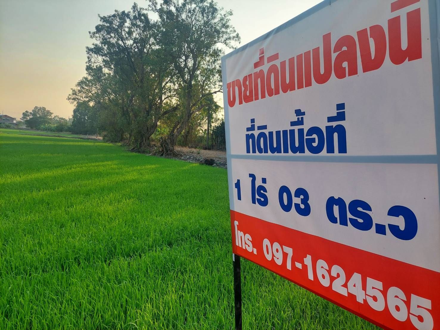 ขายที่ดิน ซ.วัดลาดปลาดุก บางบัวทอง นนทบุรี ขายต่ำกว่าราคาตลาด 1 ไร่เพียง 5 ล้านบาท แปลงหัวมุม ติดถนนซอย 2 ด้าน ติดกับ Weekend Coffee Farm & Garden
