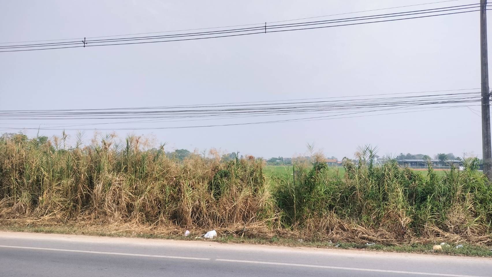 ขายที่ดินเชียงราย อำเภอเมืองเชีนงราย ที่ดินเปล่าหน้าสนามบินเชียงราย