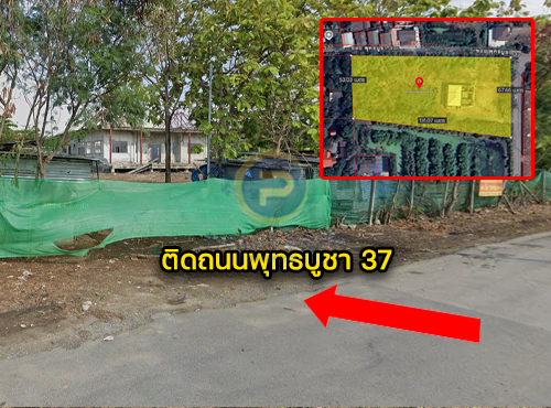 ขายที่ดินกรุงเทพมหานคร ทุ่งครุ บางมด พุทธบูชา37